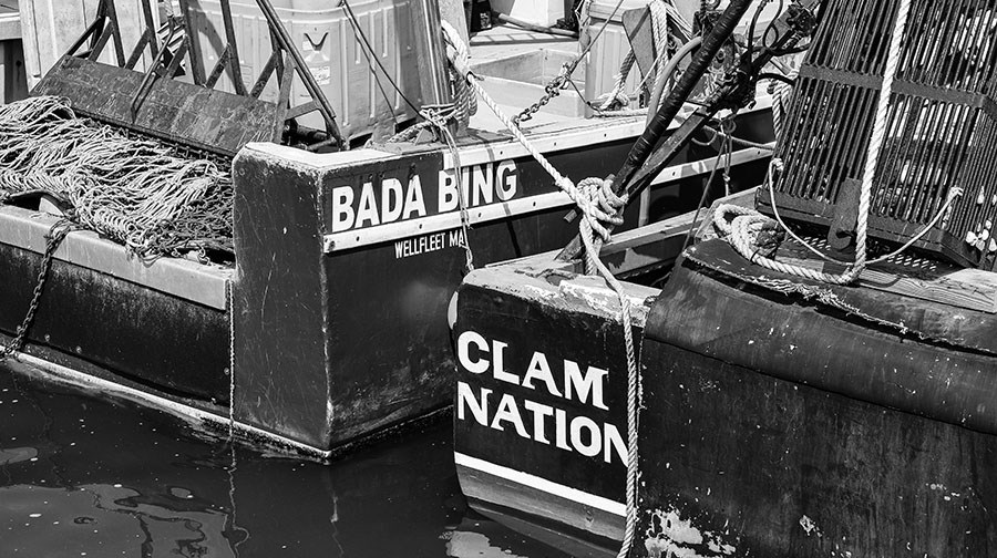 Commercial Shellfishing on Cape Cod